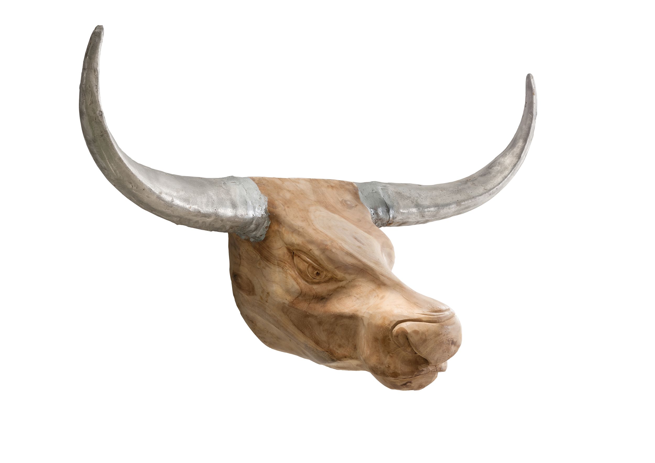 Wanddekoration Bullenkopf SKELL []