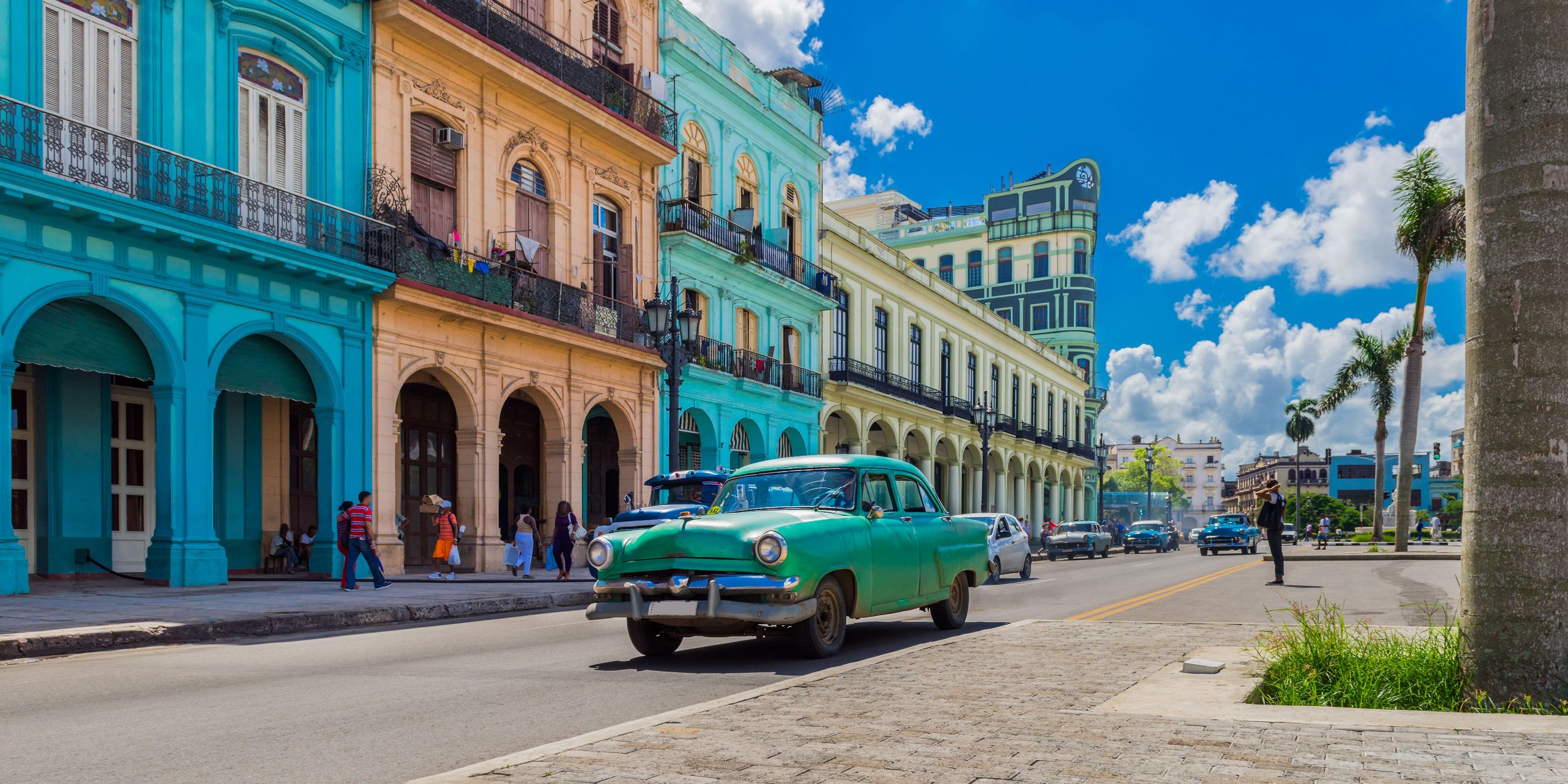 Deko-Panel 50x100cm GRAP, CUBA
