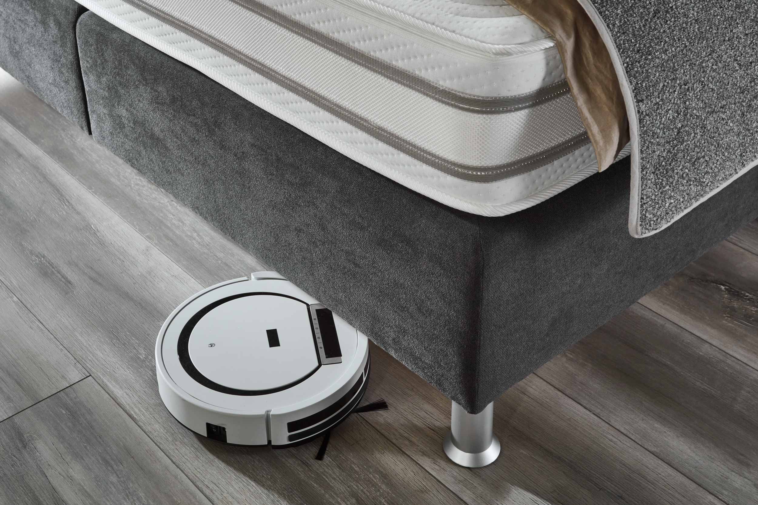 Boxspringbett 8081100189