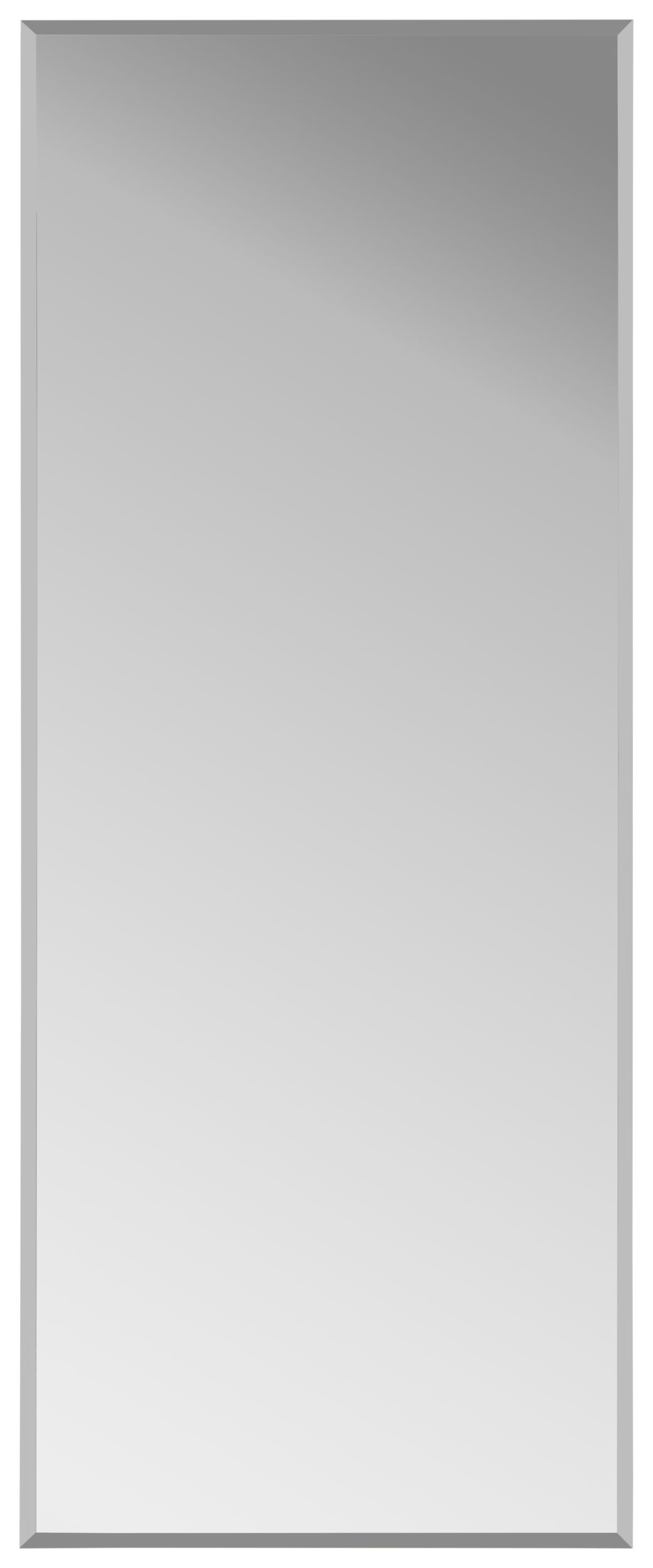 Wandspiegel 49x126cm MAX
