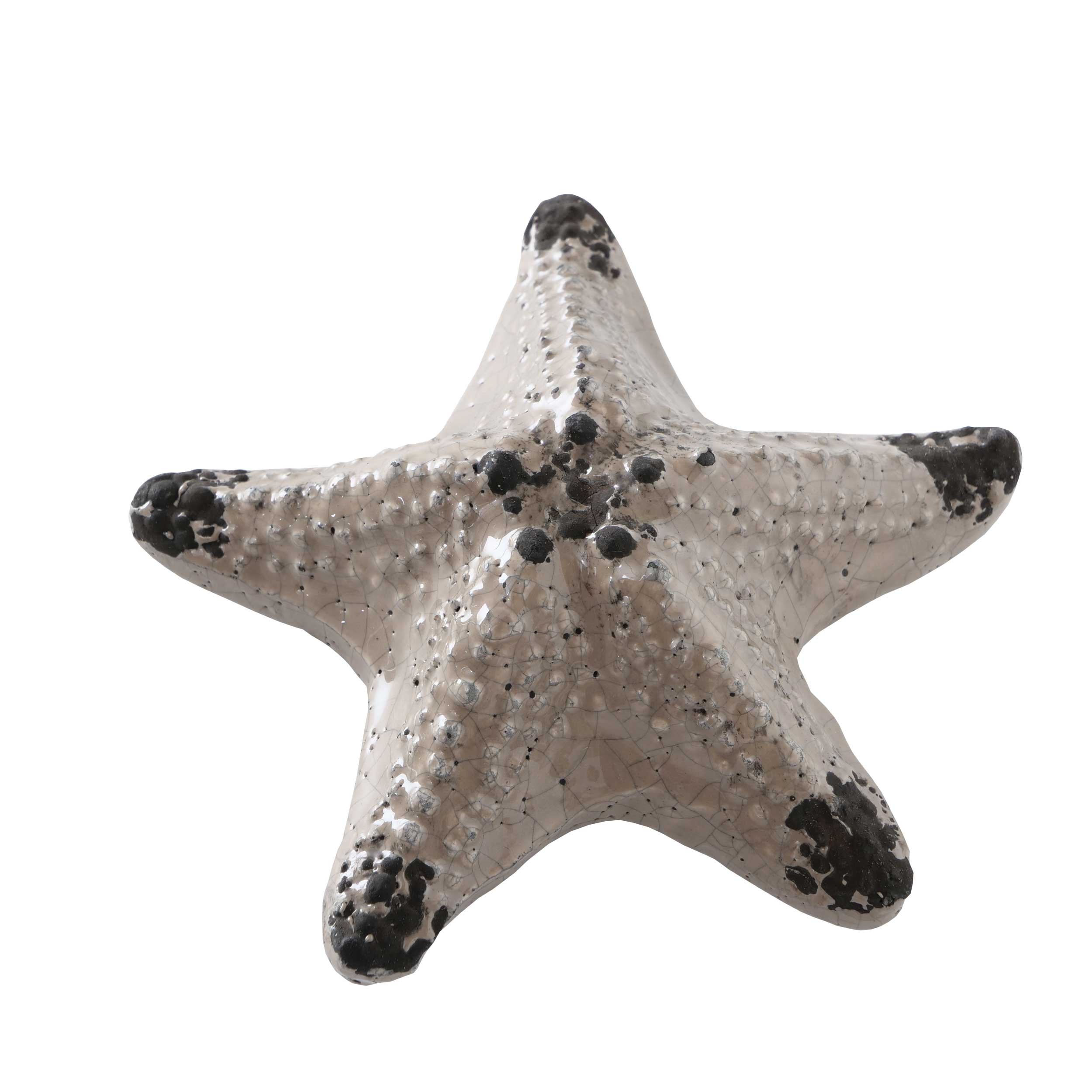 Seestern 15cm 7226306941