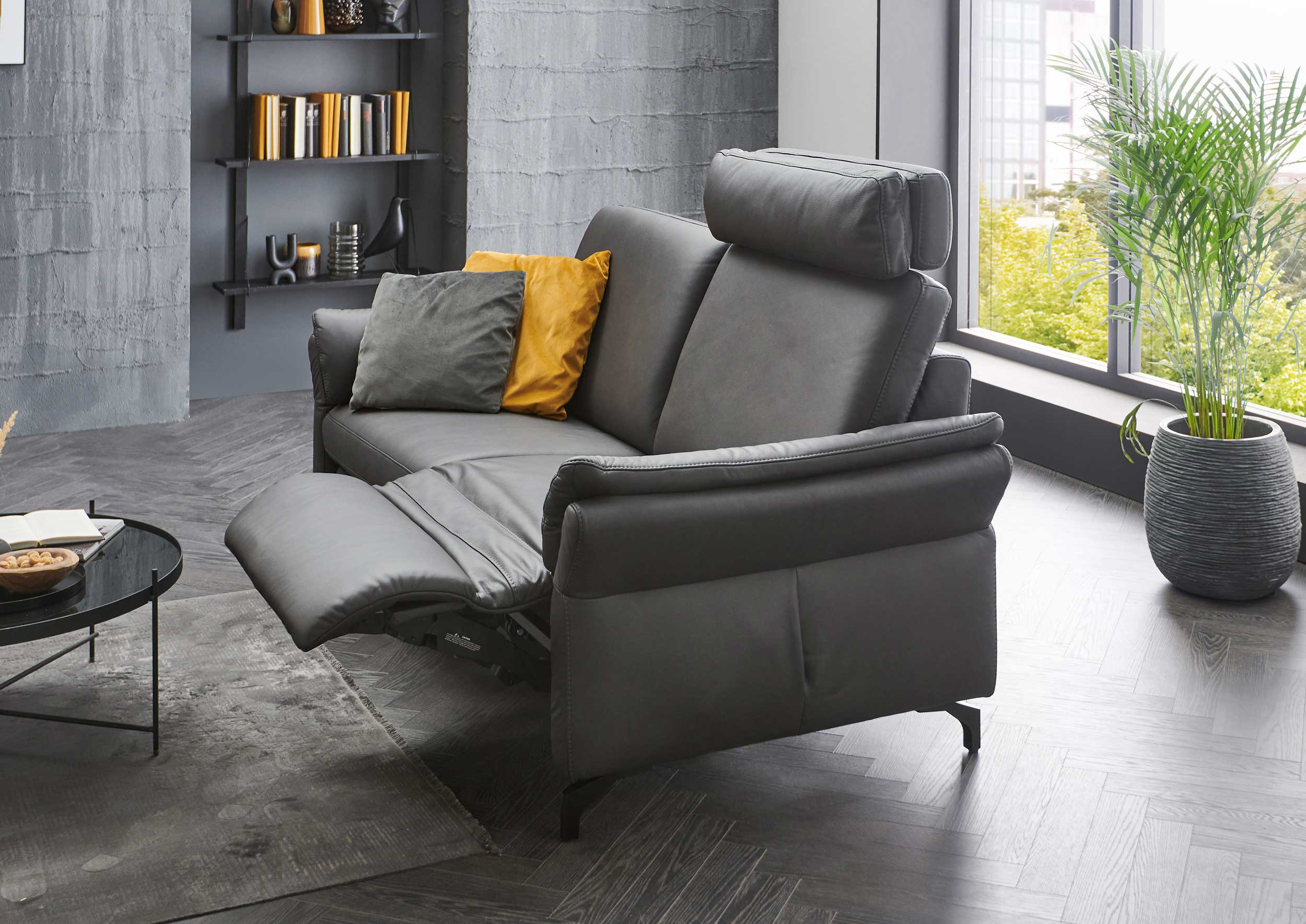 Funktions-Sofa 2-sitzig 7225400318