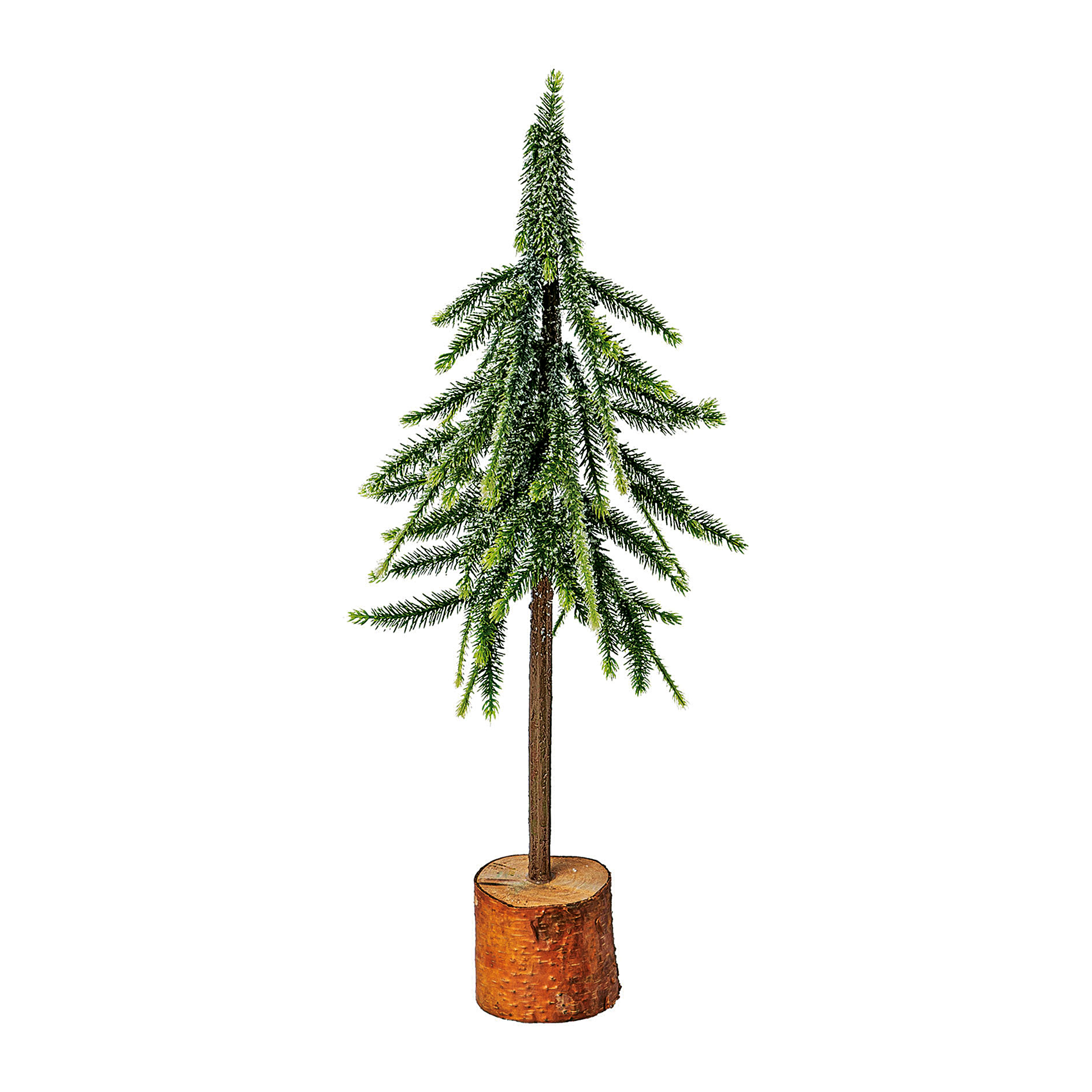 Fichtenbaum 50cm 